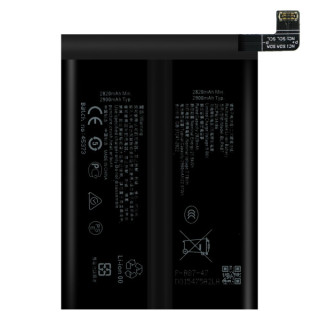 Baterie pentru Oppo Realme GT 6, BLPA87, 2900 mAh
