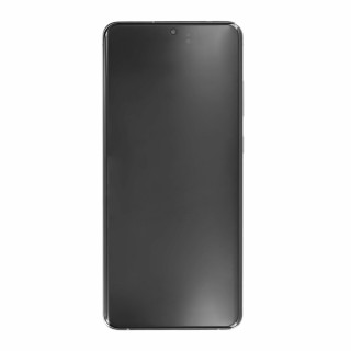 Sticlă și ecran LCD pentru Samsung Galaxy S20 Ultra / S20 Ultra 5G / SM-G988, original, gri