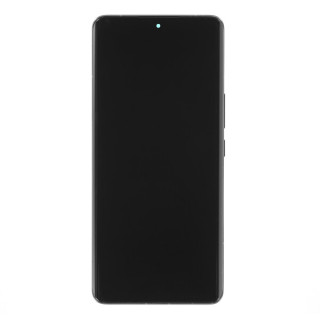 Sticlă și ecran LCD pentru Realme 10 Pro+, original (OEM), negru