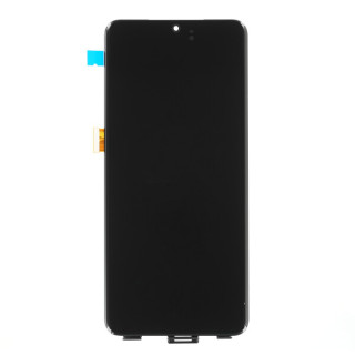 Sticlă și ecran LCD pentru Samsung Galaxy S20 Ultra / SM-G988B/DS, original, fără cadru