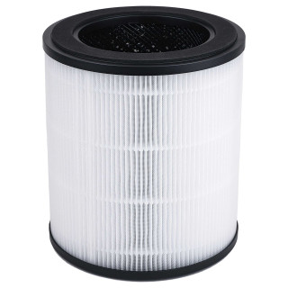 Filtru pentru Rowenta Pure Air City PU2840, XD6280F0